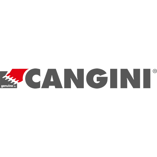 CANGINI